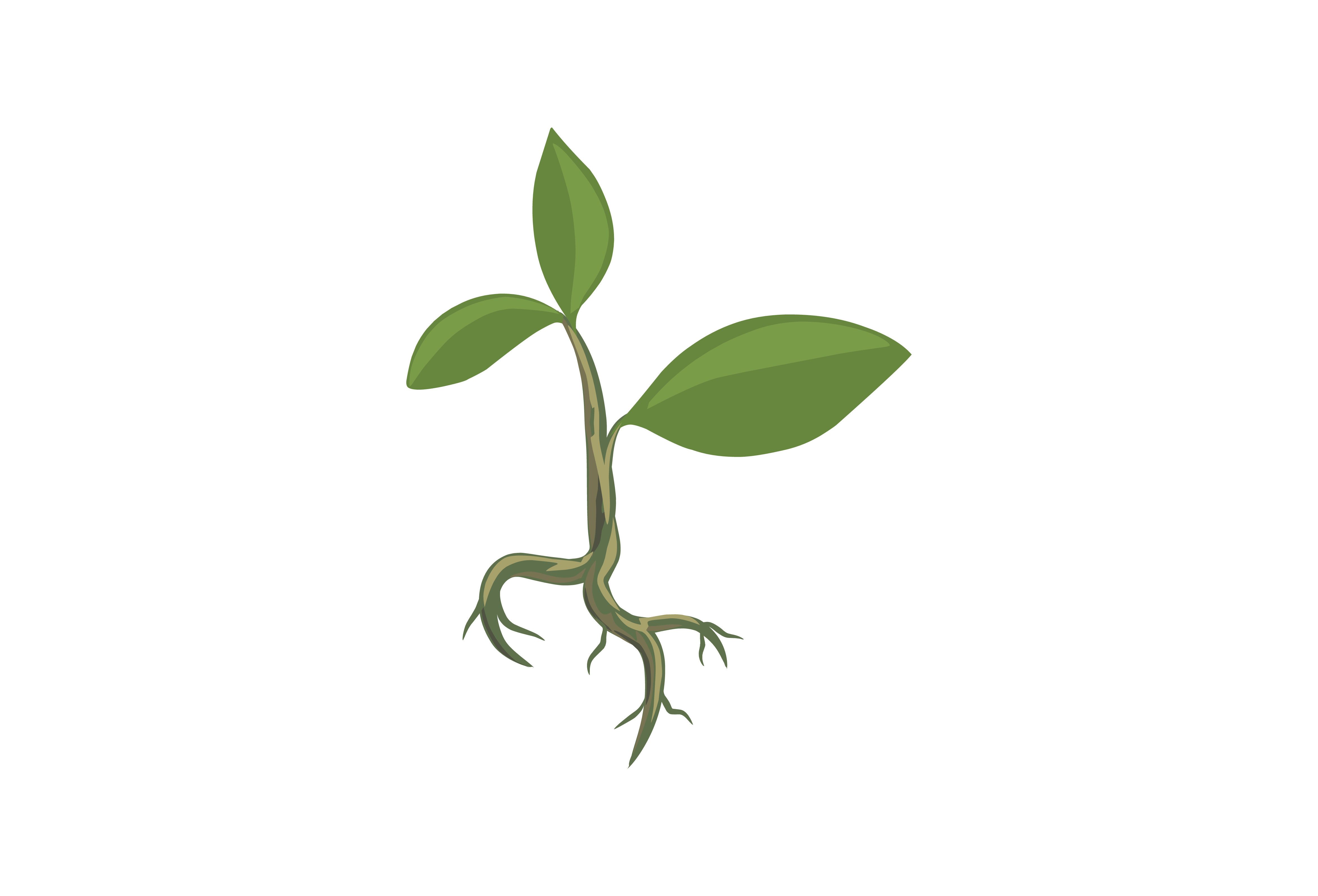 Movement Image