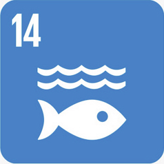 Verdensmål 14: Livet i havet