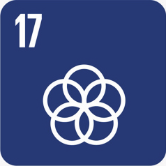 Verdensmål 17: Partnerskaber for handling